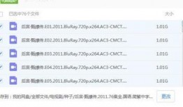 娱乐圈吃瓜合集pdf百度云网盘,揭秘吃瓜合集背后的精彩瞬间