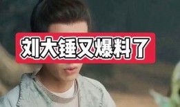 娱乐圈刘大锤爆料,揭秘明星背后的惊人真相